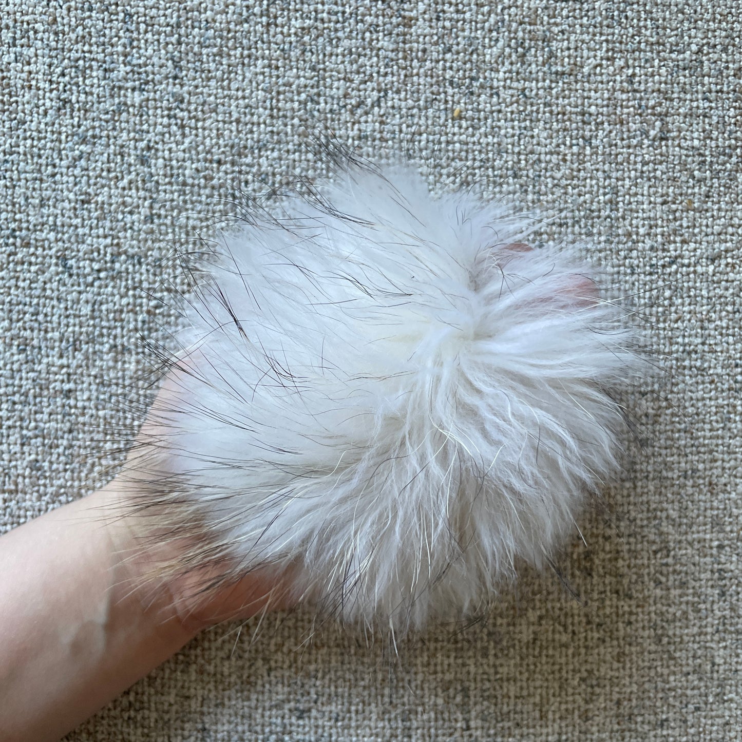 Ekta þvottabjarna dúskar